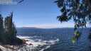 ./images/koeye/fitz-hugh/20260526/fitz-hugh20260526_125501M.jpg