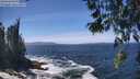 ./images/koeye/fitz-hugh/20260526/fitz-hugh20260526_133002M.jpg