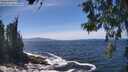 ./images/koeye/fitz-hugh/20260526/fitz-hugh20260526_135501M.jpg