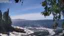 ./images/koeye/fitz-hugh/20260526/fitz-hugh20260526_143501M.jpg