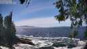 ./images/koeye/fitz-hugh/20260526/fitz-hugh20260526_144001M.jpg