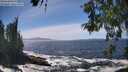 ./images/koeye/fitz-hugh/20260526/fitz-hugh20260526_144502M.jpg