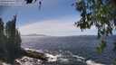 ./images/koeye/fitz-hugh/20260526/fitz-hugh20260526_145501M.jpg