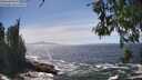 ./images/koeye/fitz-hugh/20260526/fitz-hugh20260526_150502M.jpg
