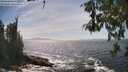 ./images/koeye/fitz-hugh/20260526/fitz-hugh20260526_153001M.jpg