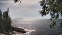 ./images/koeye/fitz-hugh/20260526/fitz-hugh20260526_160001M.jpg