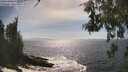 ./images/koeye/fitz-hugh/20260526/fitz-hugh20260526_162001M.jpg
