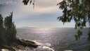 ./images/koeye/fitz-hugh/20260526/fitz-hugh20260526_162502M.jpg
