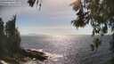 ./images/koeye/fitz-hugh/20260526/fitz-hugh20260526_164001M.jpg