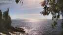 ./images/koeye/fitz-hugh/20260526/fitz-hugh20260526_164501M.jpg