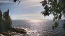 ./images/koeye/fitz-hugh/20260526/fitz-hugh20260526_165001M.jpg
