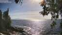 ./images/koeye/fitz-hugh/20260526/fitz-hugh20260526_171502M.jpg
