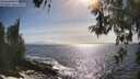 ./images/koeye/fitz-hugh/20260526/fitz-hugh20260526_172002M.jpg