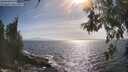 ./images/koeye/fitz-hugh/20260526/fitz-hugh20260526_172501M.jpg