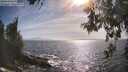 ./images/koeye/fitz-hugh/20260526/fitz-hugh20260526_173001M.jpg