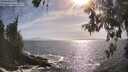./images/koeye/fitz-hugh/20260526/fitz-hugh20260526_173501M.jpg