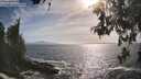 ./images/koeye/fitz-hugh/20260526/fitz-hugh20260526_174501M.jpg