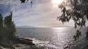 ./images/koeye/fitz-hugh/20260526/fitz-hugh20260526_175501M.jpg