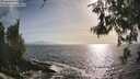 ./images/koeye/fitz-hugh/20260526/fitz-hugh20260526_181001M.jpg