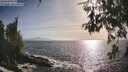 ./images/koeye/fitz-hugh/20260526/fitz-hugh20260526_181501M.jpg