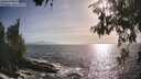 ./images/koeye/fitz-hugh/20260526/fitz-hugh20260526_182002M.jpg