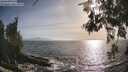 ./images/koeye/fitz-hugh/20260526/fitz-hugh20260526_182501M.jpg