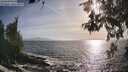 ./images/koeye/fitz-hugh/20260526/fitz-hugh20260526_183001M.jpg