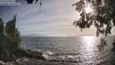 ./images/koeye/fitz-hugh/20260526/fitz-hugh20260526_184502M.jpg