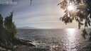 ./images/koeye/fitz-hugh/20260526/fitz-hugh20260526_185001M.jpg