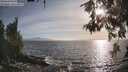 ./images/koeye/fitz-hugh/20260526/fitz-hugh20260526_185502M.jpg
