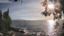 ./images/koeye/fitz-hugh/20260526/fitz-hugh20260526_190001M.jpg