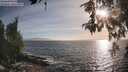 ./images/koeye/fitz-hugh/20260526/fitz-hugh20260526_190501M.jpg