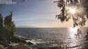 ./images/koeye/fitz-hugh/20260526/fitz-hugh20260526_192002M.jpg