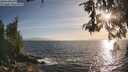./images/koeye/fitz-hugh/20260526/fitz-hugh20260526_192501M.jpg