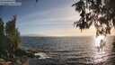 ./images/koeye/fitz-hugh/20260526/fitz-hugh20260526_193501M.jpg