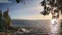 ./images/koeye/fitz-hugh/20260526/fitz-hugh20260526_194001M.jpg