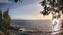 ./images/koeye/fitz-hugh/20260526/fitz-hugh20260526_194501M.jpg