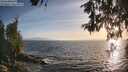 ./images/koeye/fitz-hugh/20260526/fitz-hugh20260526_195001M.jpg