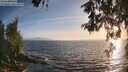 ./images/koeye/fitz-hugh/20260526/fitz-hugh20260526_195501M.jpg