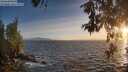 ./images/koeye/fitz-hugh/20260526/fitz-hugh20260526_204001M.jpg