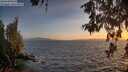 ./images/koeye/fitz-hugh/20260526/fitz-hugh20260526_211002M.jpg
