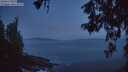 ./images/koeye/fitz-hugh/20260527/fitz-hugh20260527_044001M.jpg