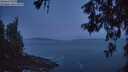 ./images/koeye/fitz-hugh/20260527/fitz-hugh20260527_044501M.jpg