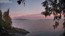 ./images/koeye/fitz-hugh/20260527/fitz-hugh20260527_052501M.jpg