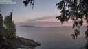 ./images/koeye/fitz-hugh/20260527/fitz-hugh20260527_053001M.jpg