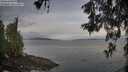 ./images/koeye/fitz-hugh/20260527/fitz-hugh20260527_061501M.jpg