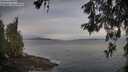 ./images/koeye/fitz-hugh/20260527/fitz-hugh20260527_062001M.jpg