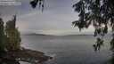 ./images/koeye/fitz-hugh/20260527/fitz-hugh20260527_062501M.jpg