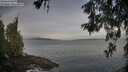 ./images/koeye/fitz-hugh/20260527/fitz-hugh20260527_063002M.jpg