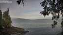 ./images/koeye/fitz-hugh/20260527/fitz-hugh20260527_063501M.jpg
